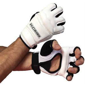 Taewondo glove